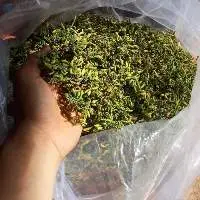Dried Male Papaya Flowers