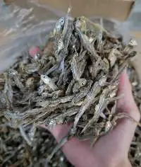 Dried Anchovy Fish
