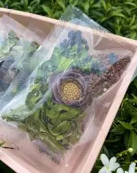 Dried Lotus Flower
