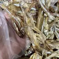 Dried Anchovy Fish