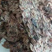 Dried Baby Squid