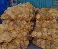 Semi Husked Coconut