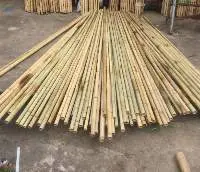 Bamboo Fences/ Bamboo Poles