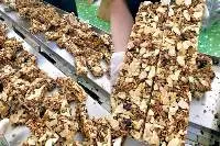 Cereal Brown Rice Meat Kapok