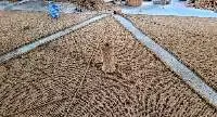Coconut Fiber Shade Sail Production