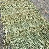 Dry Grass Thatch Roof Panels