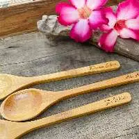 Bamboo Spoon