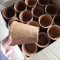 Coir Pot  