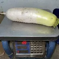 Pickled Radish Daikon