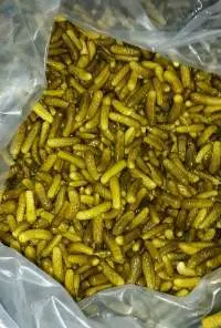Pickled Gherkins In Drum