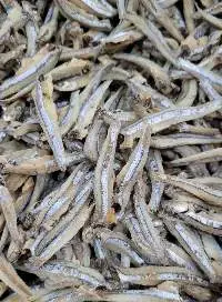 Dried Anchovy, Sprat