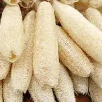 Natural Loofah Sponges