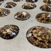Limpet Shell For Breastfeeding Baby