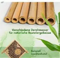 Bamboo Tubes