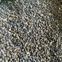 Dried Papaya Seeds