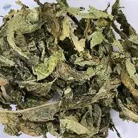 Dried Papaya Leaf