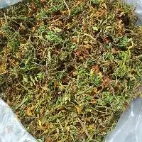 Dried Papaya Flower