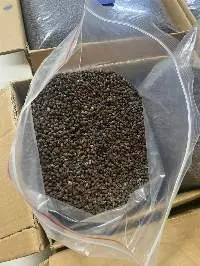 Dried Papaya Seed
