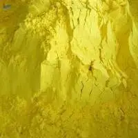 Tumeric powder