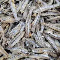 Dried Anchovy, Sprat