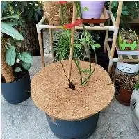 Coir Discs/ Coir Mulch Mat