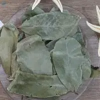 Dried Soursop Leaf