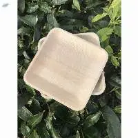 Palm Leaf Plate