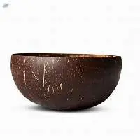 Coconut Shell Bowl