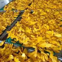 Dehydrated Mango
