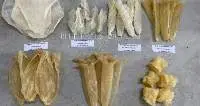 Dried Fish Maw