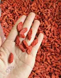 Dried goji berries tea