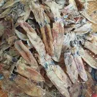 Baby Dry Squid