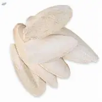 Cuttlefish Bone