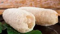 Dried Loofah