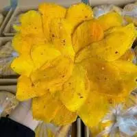 Chili Salt Soft Dried Mango