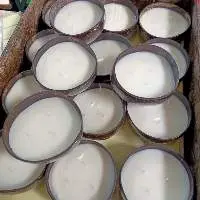 Coconut Shell Candle