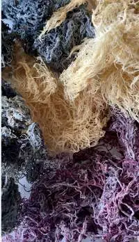 Seamoss Dried Salt
