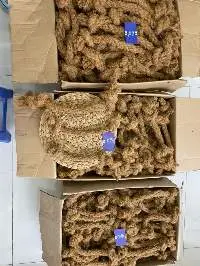 Coir Rope Chew For Dog
