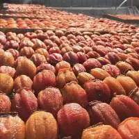 Dried Persimmons