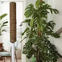 Coconut Fiber Poles