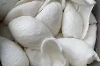 Young Coconut Meat