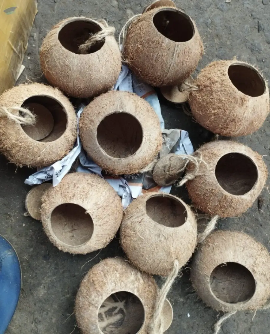 Coconut Shell Bird Nest
