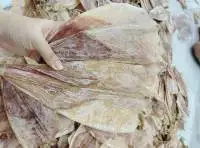 Dried Squid