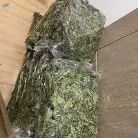 Dried Papaya Leaf