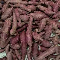 Fresh Sweet Potato