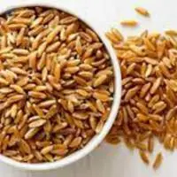 Hard Red Wheat