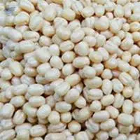 Urad Dal