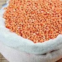 Masoor Dal