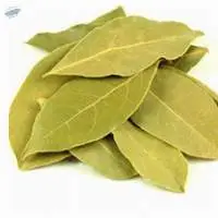 Bay Leaf