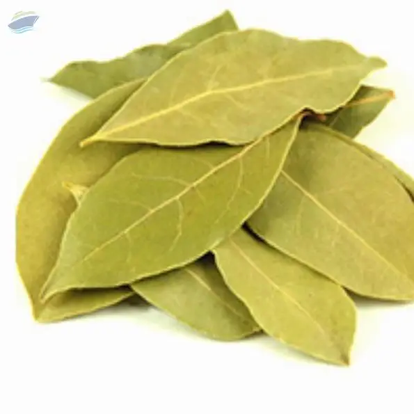 Bay Leaf